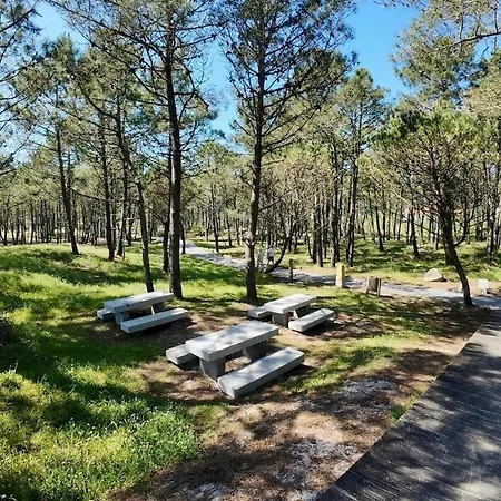 Con Jardin Cerca De La Playa En Lägenhet Corcubión