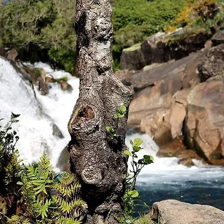 Con Jardin Cerca De La Playa En