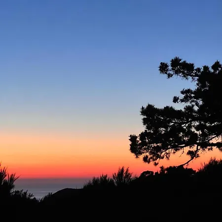 Con Jardin Cerca De La Playa En Apartament *