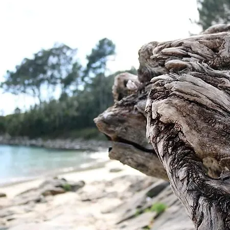 Appartement Con Jardin Cerca De La Playa En